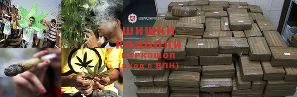 молекула духа Переславль-Залесский