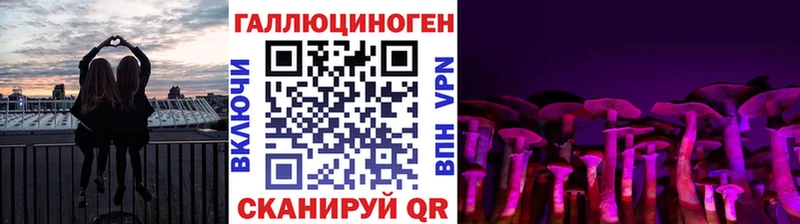 Купить закладки  Ленинградская  Псилоцибиновые грибы GOLDEN TEACHER 